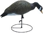 Goose